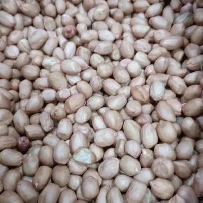 Moongfali Dana